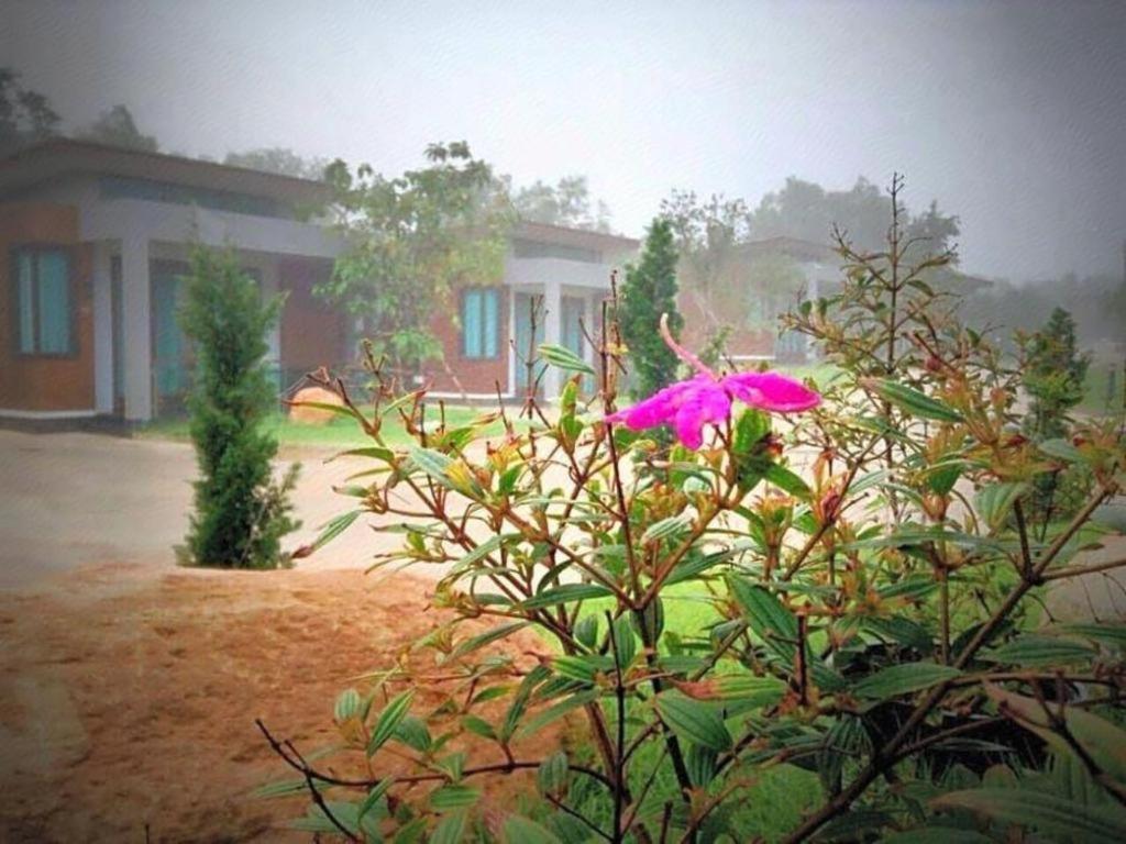 Nutchana Hill Boutique Hotel Hat Yai Εξωτερικό φωτογραφία